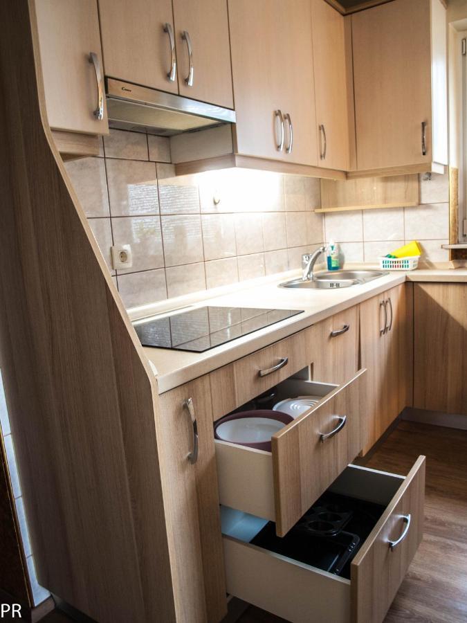 Apartment Activity Radomlje エクステリア 写真